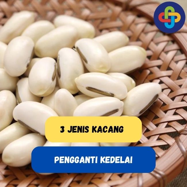 Jenis Kacang Pengganti Kedelai? Apa Saja Sih